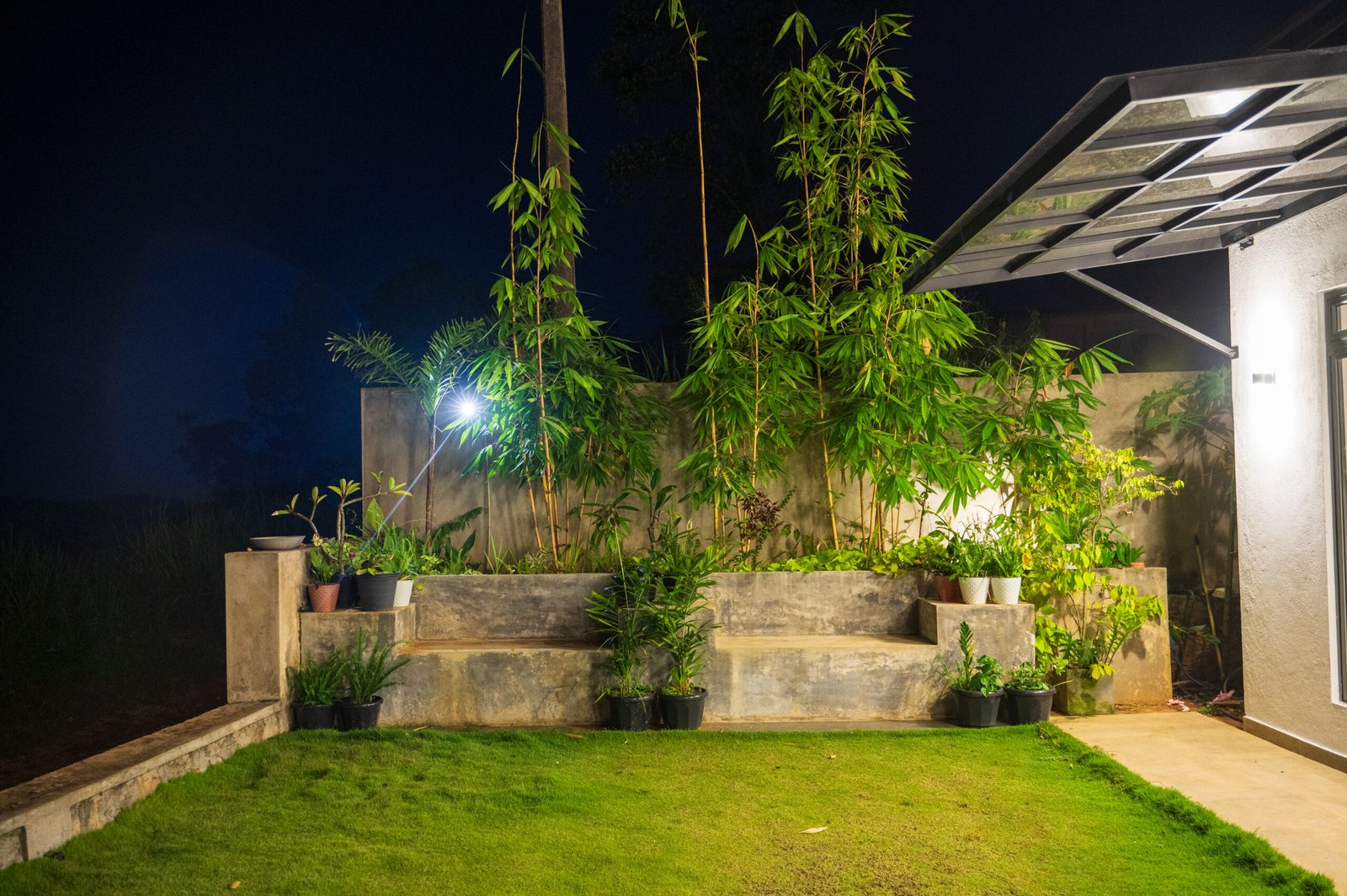 Outdoor Garden View 