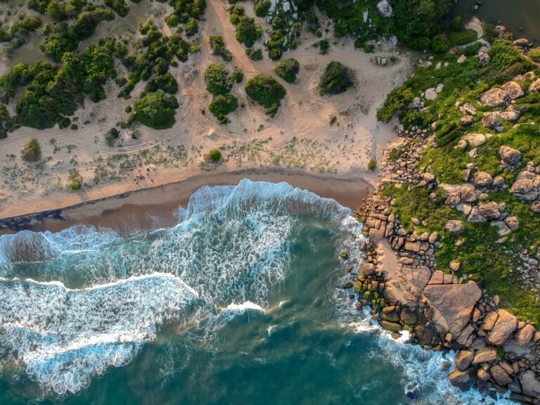 Sri Lanka’s Coastal Charm: Where the Ocean Meets Serenity